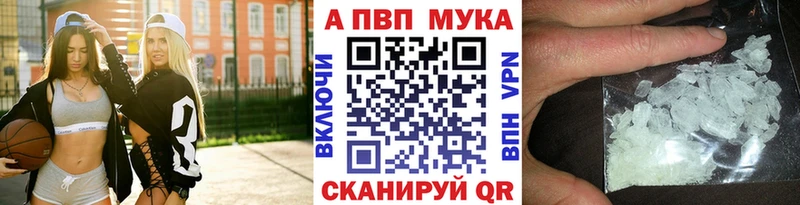 даркнет состав  Новоалександровск  Альфа ПВП крисы CK  где купить наркоту 