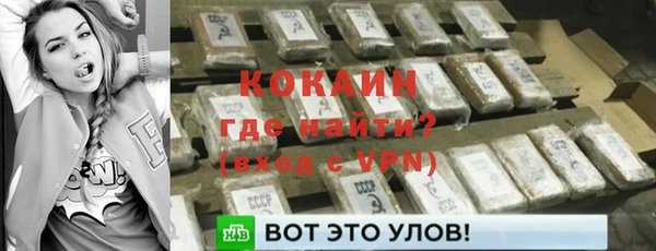 индика Иннополис