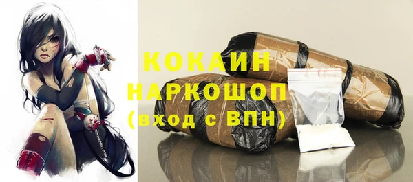 дмт Инта