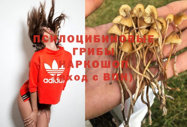 гидра Инсар