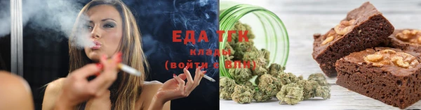 дмт Инта