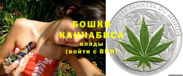гидра Инсар