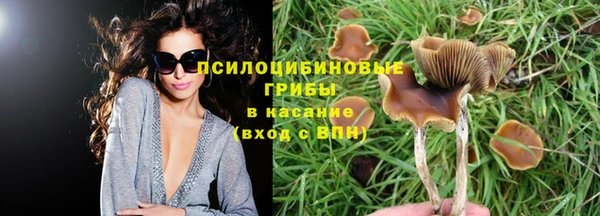 герыч Зеленодольск
