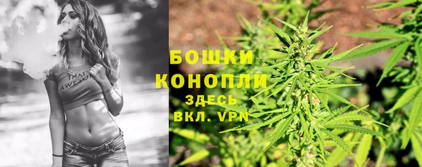 индика Иннополис