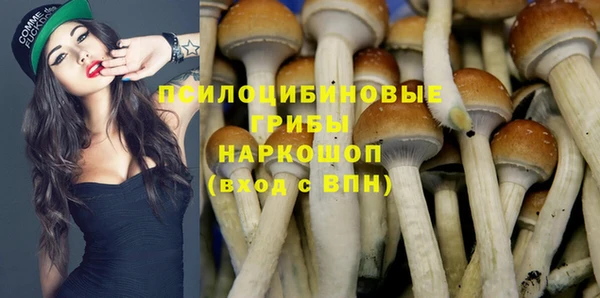 MDMA Premium VHQ Каменка