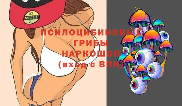 дмт Инта