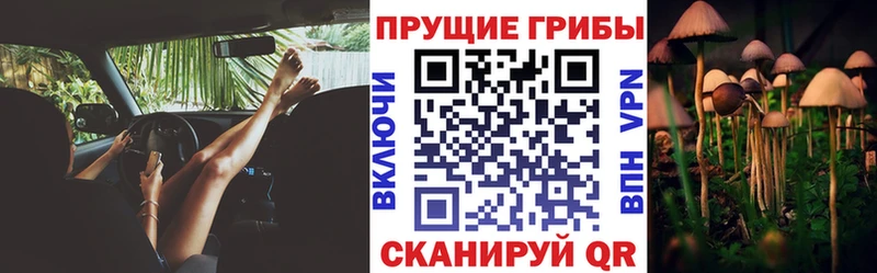 Галлюциногенные грибы Cubensis  Новоалександровск 