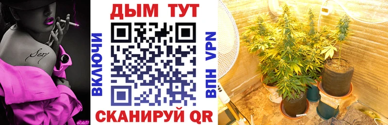 МАРИХУАНА OG Kush  нарко площадка Telegram  Новоалександровск 